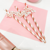 Gold & Rose Gold "Thirty" Paper Straws – 30th Milestone Party Supplies