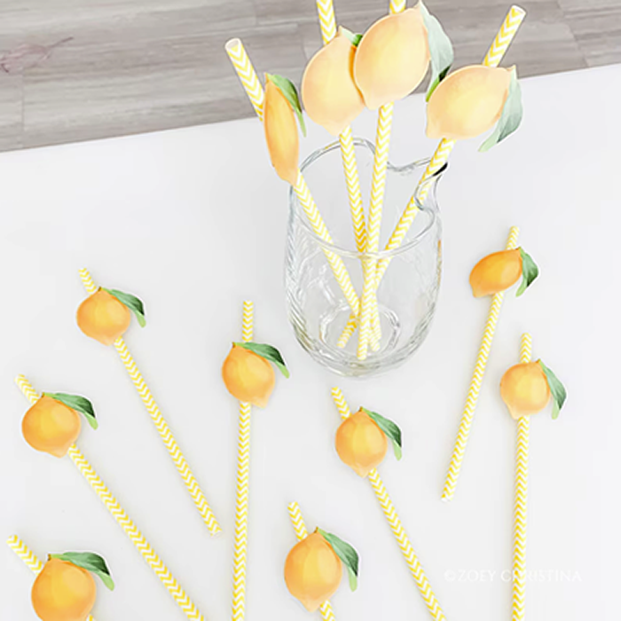 Paper Straws