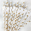 Tooth-Themed Paper Straws – Dentist & Dental Hygienist Party Supplies