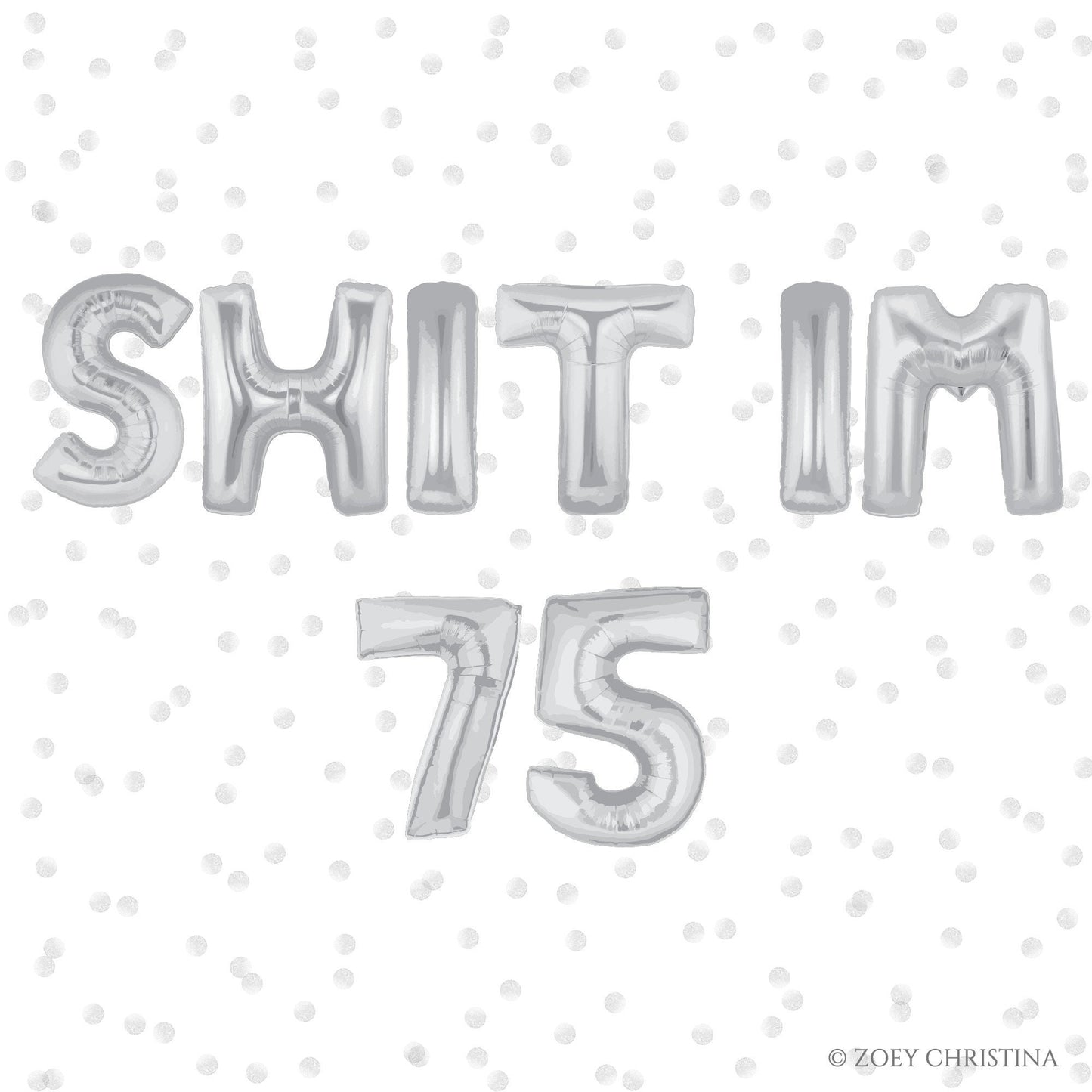 Funny 75th birthday party decorations for women and men, Seventy five balloon banner, 1948 birthday party decoration for women