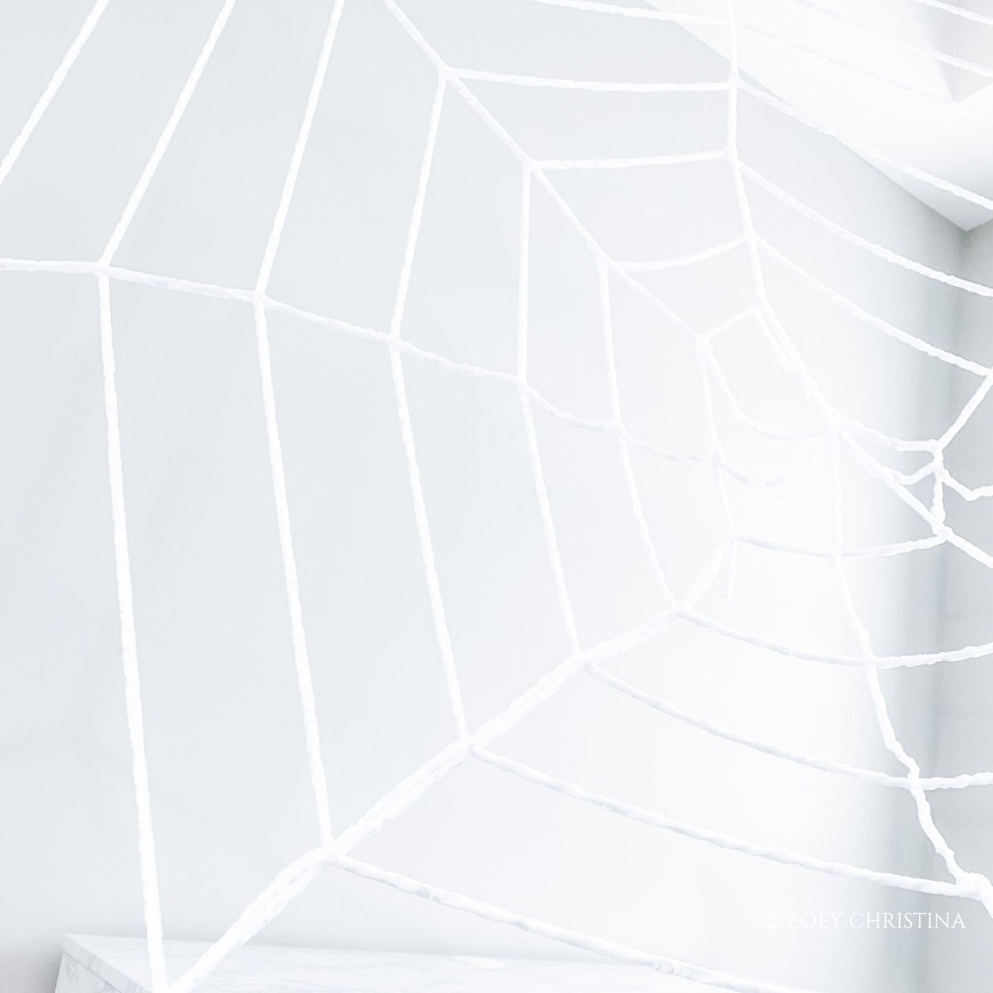 🕸️ Giant Decorative Spider Web – 9 ft or 12 ft Size Options