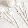 Tooth-Themed Paper Straws – Dentist & Dental Hygienist Party Supplies