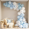 Regency-Inspired Blue Balloon Garland Kit – Pastel Blue Party Decor for High Society Themes, Bridal Showers & Garden Parties