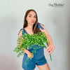 Greenery Sprigs for Balloon Garlands – Faux Leaf Accent for Arches, Backdrops & Party Decor for wedding garland Artificial Garland Wedding