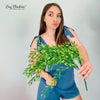 Greenery Sprigs for Balloon Garlands – Faux Leaf Accent for Arches, Backdrops & Party Decor for wedding garland Artificial Garland Wedding