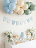 Blue or Green Gingham print Bodysuit Garland, Baby Shower Banner Decoration