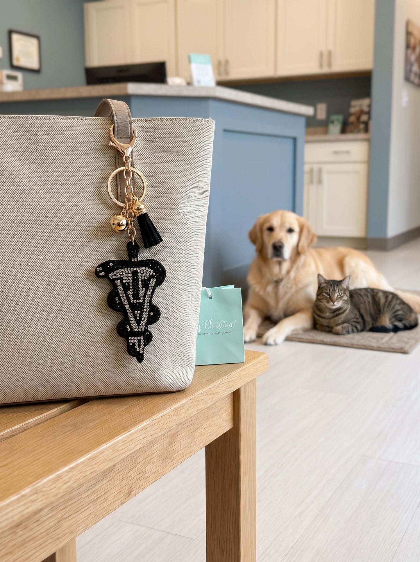 Veterinary Rhinestone Keychain: Vet Tech Veterinarian Gift