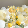 Lemon Paper Straws – 12-Pack Yellow or Pink Straws for Lemonade Stands & Summer Parties