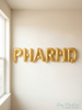 Pharm Tech Celebration Balloons – Foil Letter Banner (Multiple Sayings!)