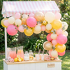 Pink Lemonade Balloon Garland Kit – Pink & Yellow Citrus Party Decor