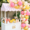 Pink Lemonade Balloon Garland Kit – Pink & Yellow Citrus Party Decor