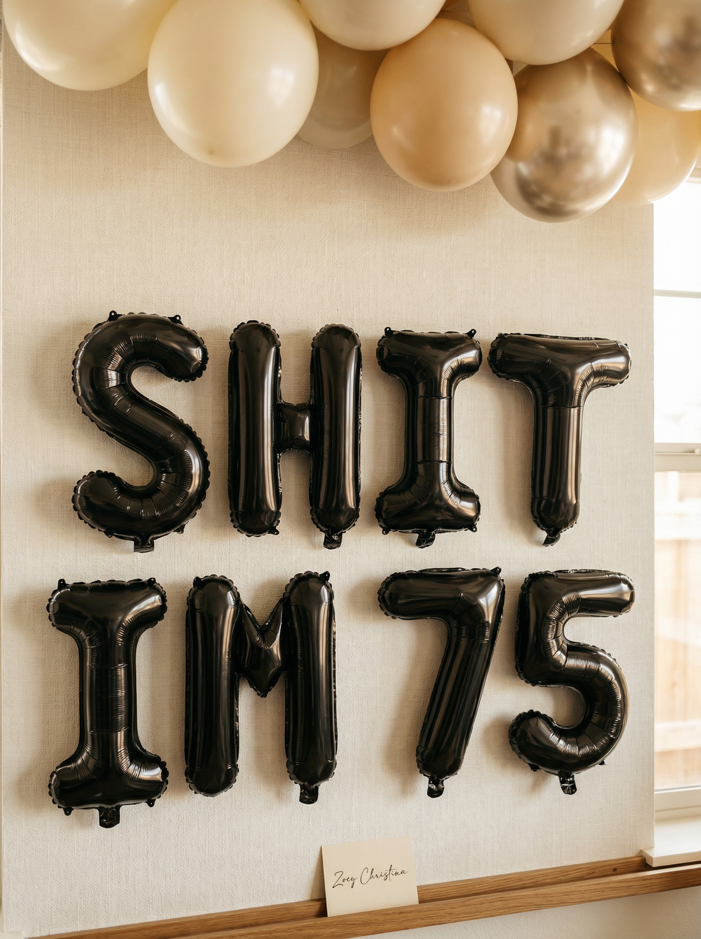 Funny 75th birthday party decorations for women and men, Seventy five balloon banner, 1948 birthday party decoration for women