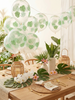 🌿 Clear Latex Balloon with Monstera Leaf Print – Jungle & Tropical Party Decor